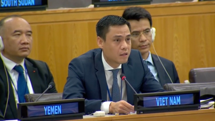 Vietnam calls for respect for int’l law in dispute settlement